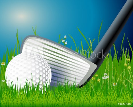 Golf club and ball in grass - 900557858