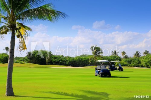 golf course tropical palm trees in Mexico - 900163522