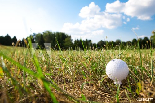 golf-ball on green grass - 900739500