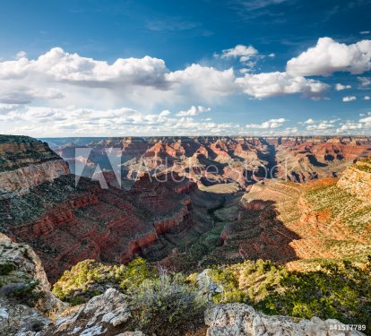 Grand Canyon - 900391019