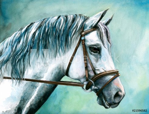 Gray horse watercolor painted. - 901153757