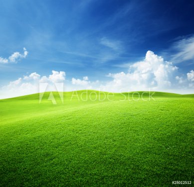 green field and blue sky - 900006552