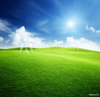 green field and blue sky - 900043569