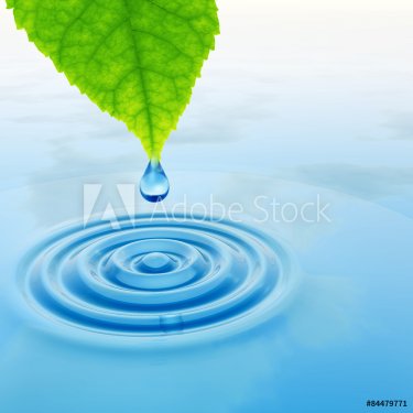 Green leaf with water drop and ripple - 901144980
