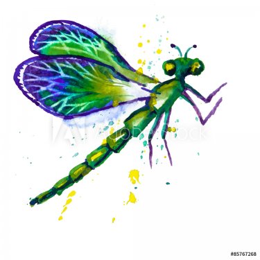 Green Watercolor Dragonfly - 901147751