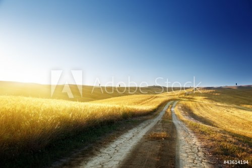 ground road on field in Tuscany, italy - 900593253
