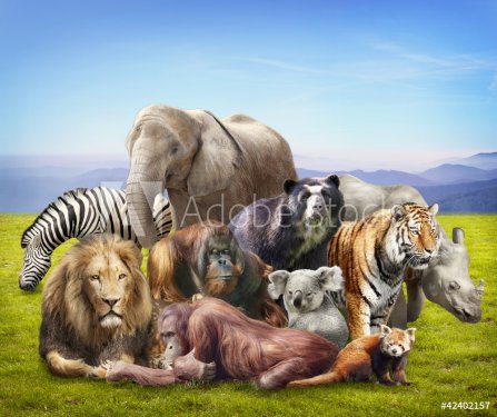 Group of animals - 900453659