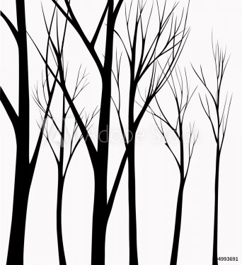 Group of silhouettes trees - 901146623