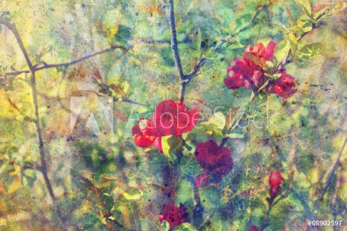 grunge messy watercolor splatter and twigs with red flowers - 901143032