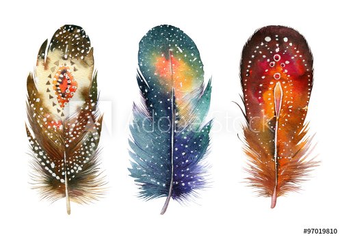 Hand drawn watercolor feather set.  Boho style. illustration iso - 901153447