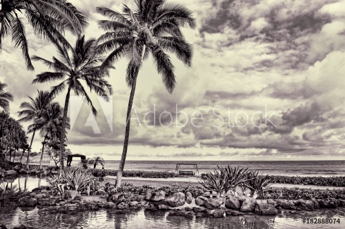 Hawaii Paradise in black and white. - 901152886