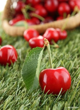 heap of cherry and leaf - 900425782