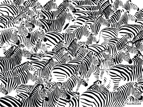 Herd of zebras vector - 901138698