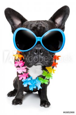 holiday summer dog - 901141973