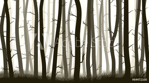 Horizontal illustration with many pine trees. - 901143335