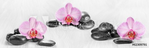 Horizontal panorama with pink orchids and zen stones on a wooden - 901143209