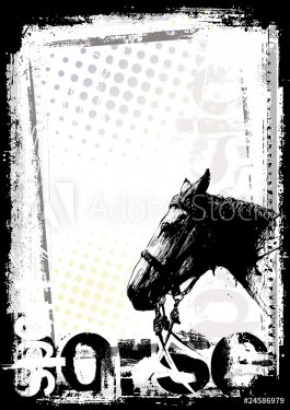horse poster background - 900905975