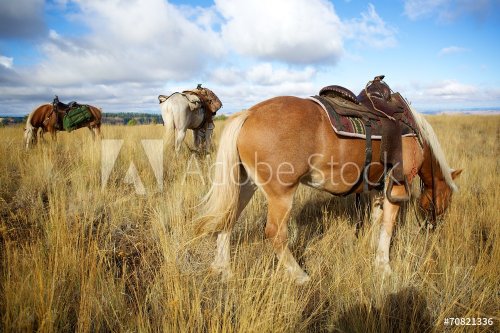 Horses on the Ridge - 901144330