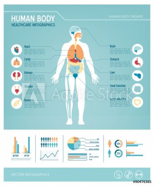Human body infographics - 901145752