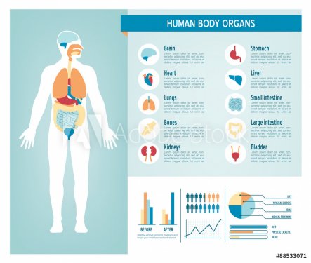 Human body infographics - 901145753