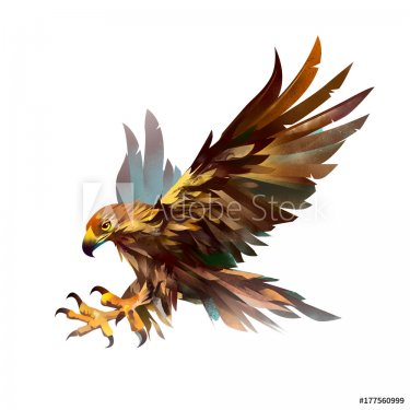 Illustration isolated bird. Sketch of a flying eagle.