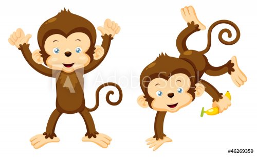Illustration of Monkeys vector