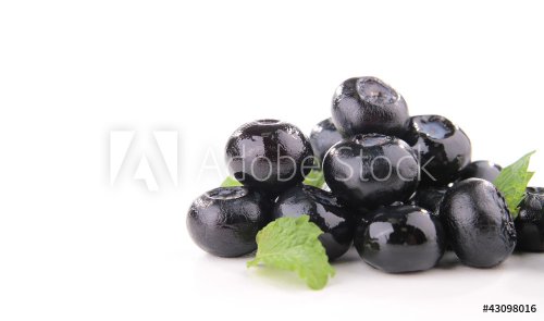 isolated blueberry
