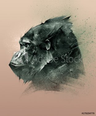 isolated color drawing of a monkey's head on the side - 901153539
