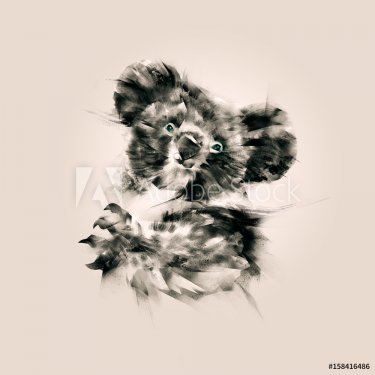 isolated drawing a portrait of the animal koala - 901153569