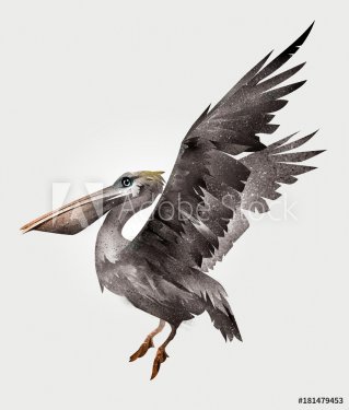 isolated painted Pelican bird in flight, side view - 901153529