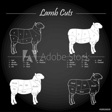 LAMB_cuts_sheme-blackboard