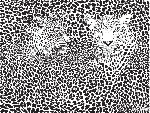 leopard pattern background - 901139817