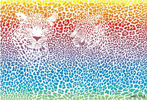 leopard rainbow pattern background - 901139814
