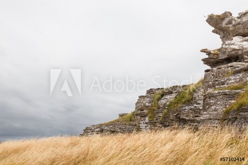 Limestone cliffs on the coastline of Gotland, Sweden