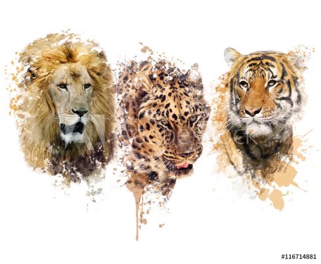 Lion ,Leopard and Tiger watercolor - 901153934