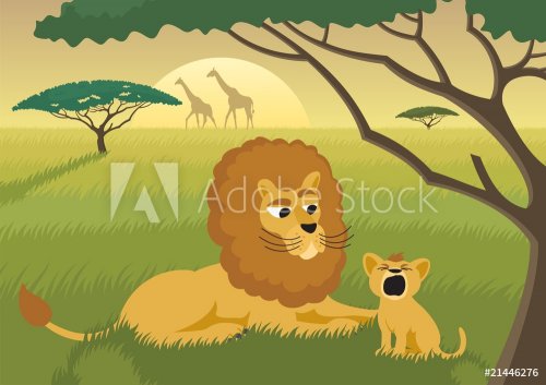 Lions in the Wild