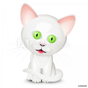 Little white cat