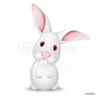Little white rabbit - 900454469