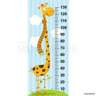 long neck giraffe height measure (in original proportions 1:4) - vector illustration, eps
