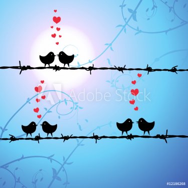 Love, birds kissing on branch - 900459413