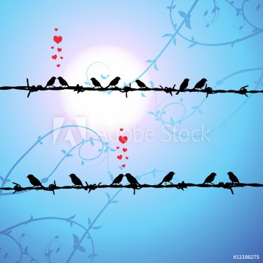 Love, birds kissing on branch