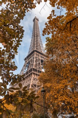Low-angle shot of the Eiffel tower in Paris on a fall day surrounded by brown leaves of trees
