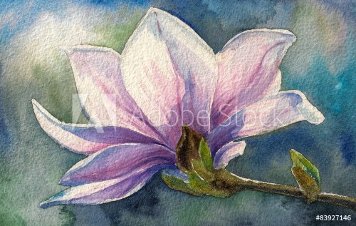 Magnolia blossom on branch.Watercolors. - 901153766
