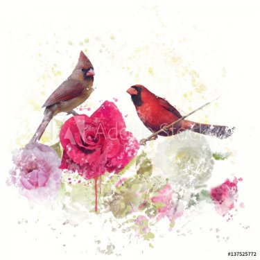 Male and Female Northern Cardinals watercolor - 901154480