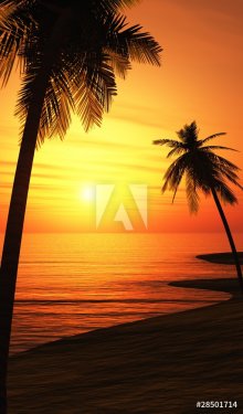 Mallorca Sunset Chillout Beach 01 - 900622786