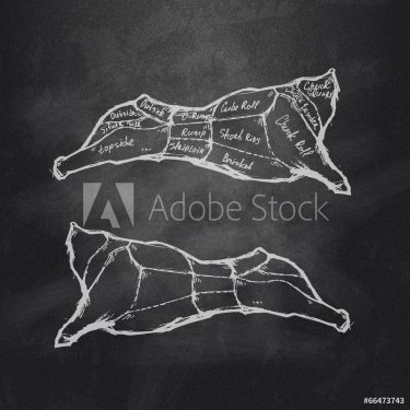 Meat cutting. Vector format