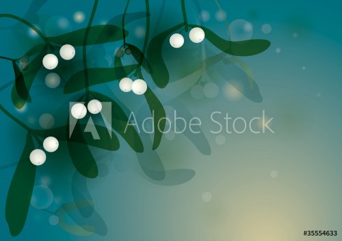 Mistletoe / Magic Christmas background - 900485003