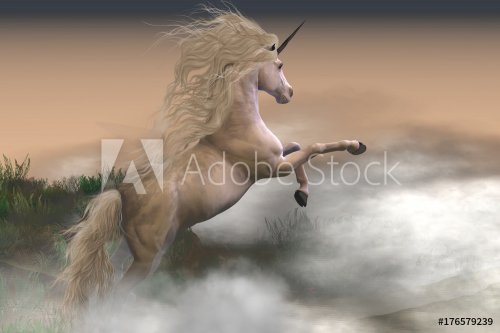 Misty Mountain Unicorn - Misty swirls of clouds surround a unicorn stag as he displays his strength and energy on a mountain slope.