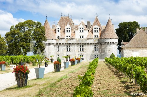 Monbazillac Castle with vineyard, Aquitaine, France - 901138314