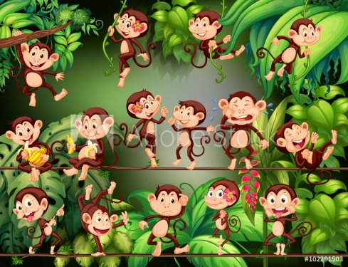 Monkeys doing different things in the jungle - 901148413
